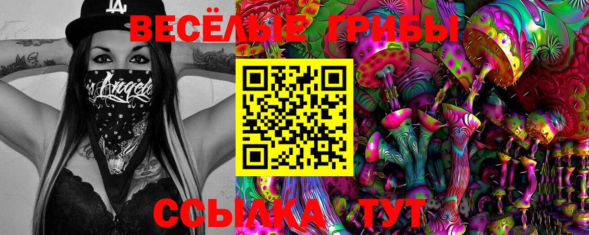 Псилоцибиновые грибы мухоморы Белая Калитва